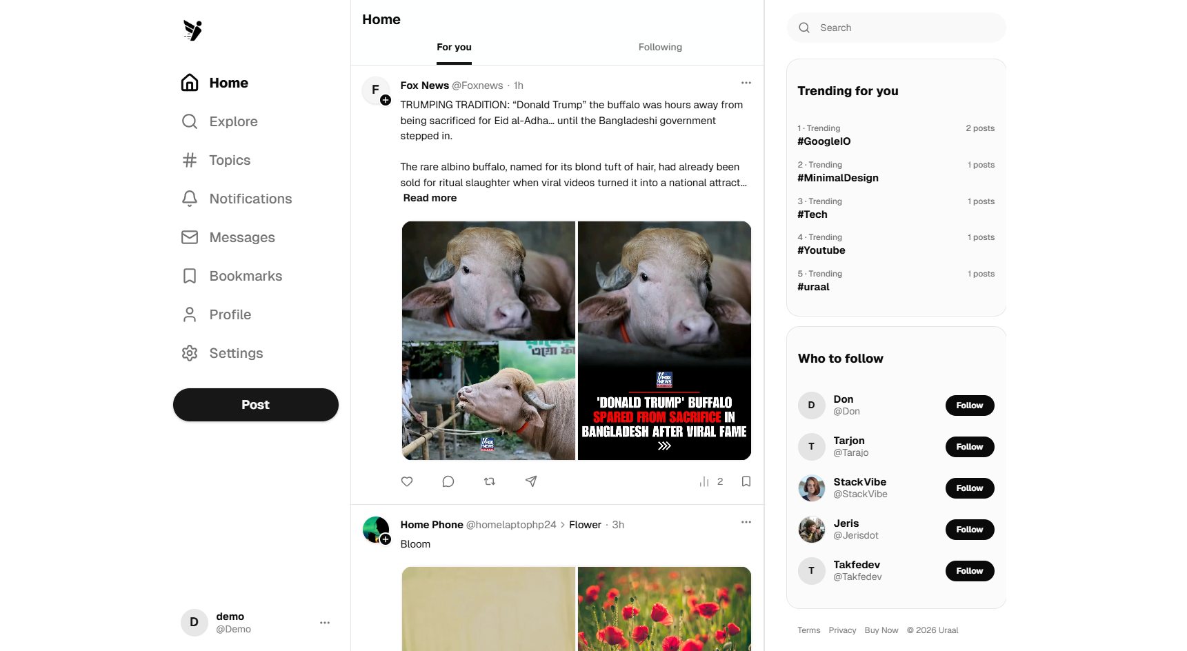 Feed